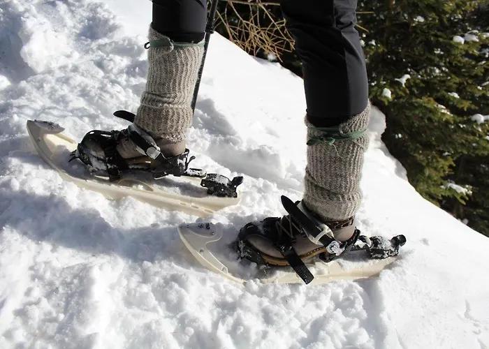 Orterhof Alojamento de Turismo Rural